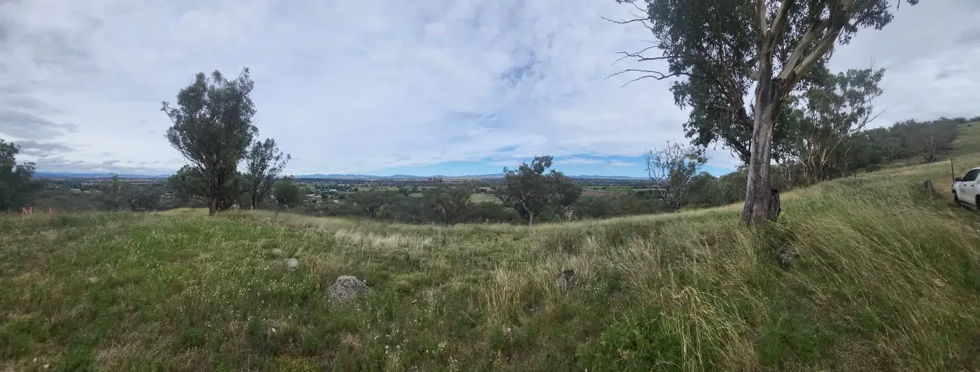 Mt. Falcon Estate — East Tamworth, NSW