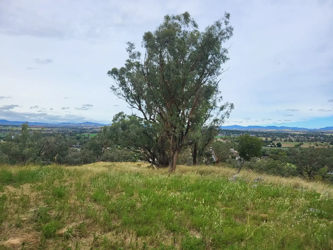 Werri Beach — Gerringong, NSW